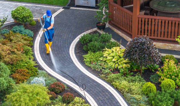 Best Pressure Washing Company Near Me  in Camp Springs, MD